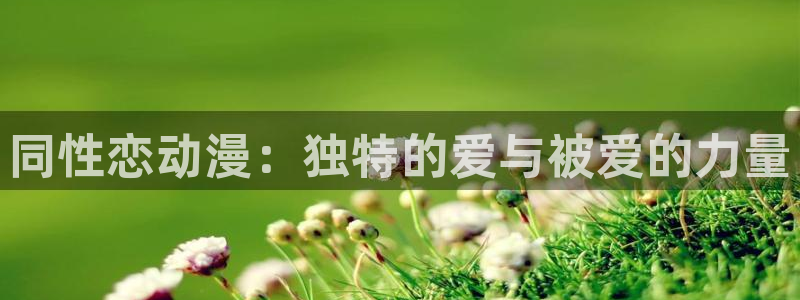 78动漫论坛：同性恋动漫：独特的爱与被爱的力量