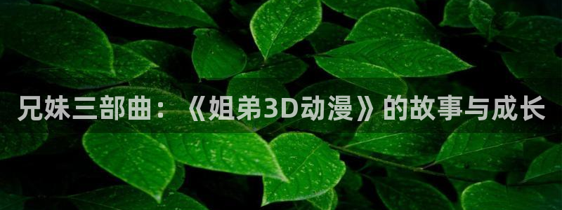 78动漫网站维护：兄妹三部曲：《姐弟3D动漫》的故事与成长