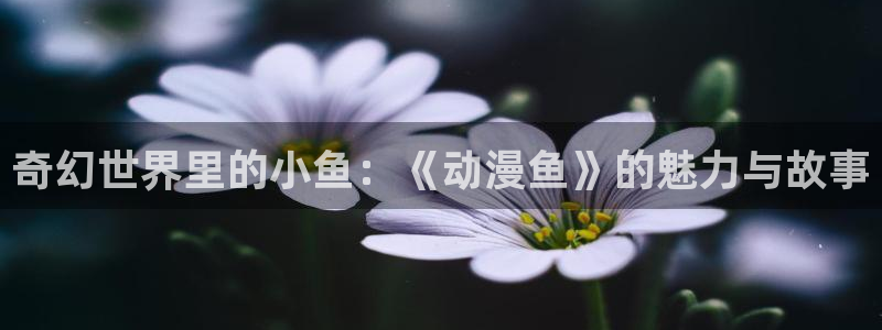 7878动漫：奇幻世界里的小鱼：《动漫鱼》的魅力与故事