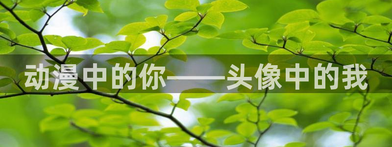 78动漫官方下载入口：动漫中的你——头像中的我